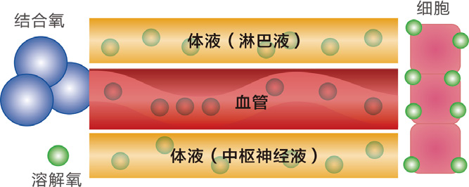 家用高压氧舱原理