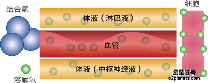 高压氧舱原理