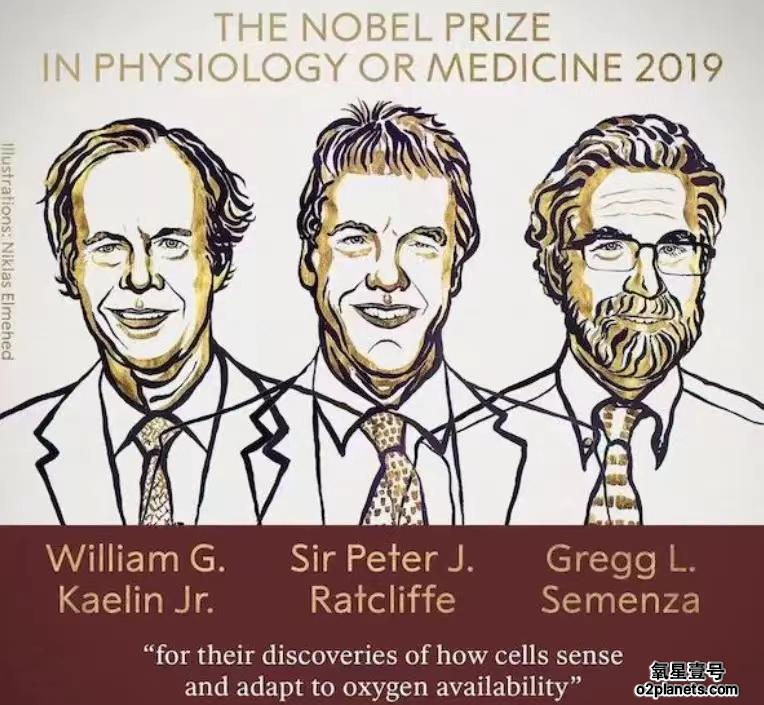 THE NOBEL PRIZEIN PHYSIOLOGY OR MEDICINE 2019