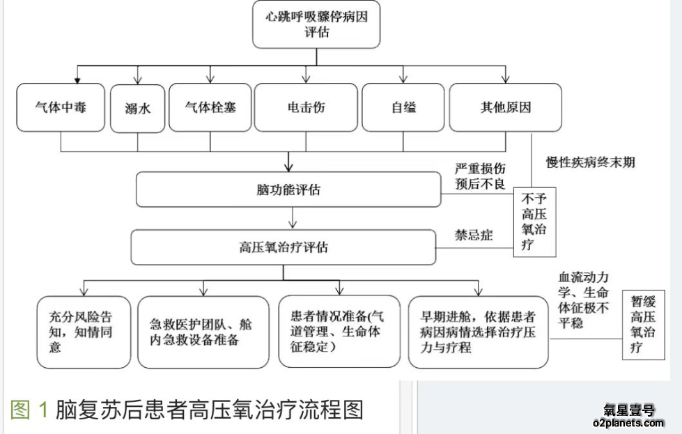 脑复苏后患者高压氧治疗流程图