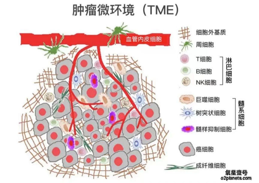 缺氧与癌症